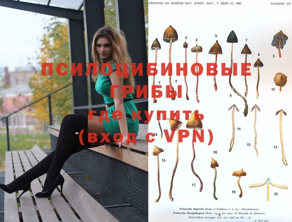 амф Беслан
